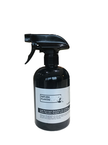 Natura Plantae Foliar Spray 500ml x 3 Buy