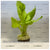 Ceratopteris pteridoides EMERSED/POTTED Floating Antler Fern