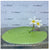 Nymphoides aquatica SUBMERSED/PLANT Banana Lily
