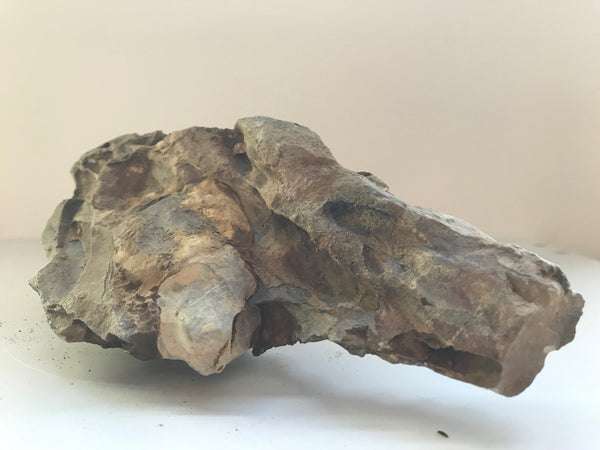 STONE 20KG - Dragon Stone